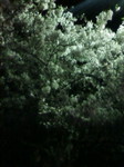 20110409214023.jpg