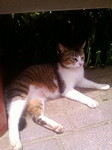20110504121251.jpg