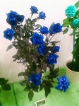 20110504122555.jpg