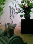 20110504124304.jpg