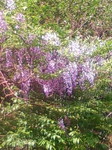 20110508160841.jpg