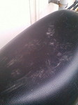 20110513114807.jpg