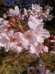 20130321161620.jpg