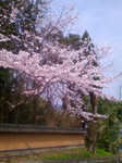 20130324103932.jpg