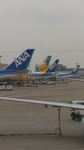 DSC_0645.jpg